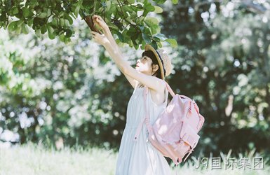 点击查看都乐甜甜圈案例