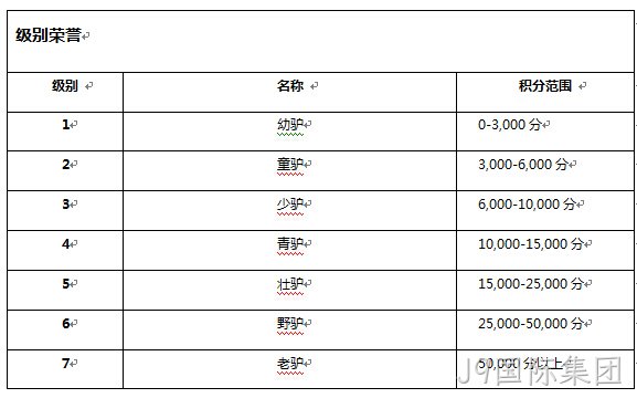 J9国际集团级别系统