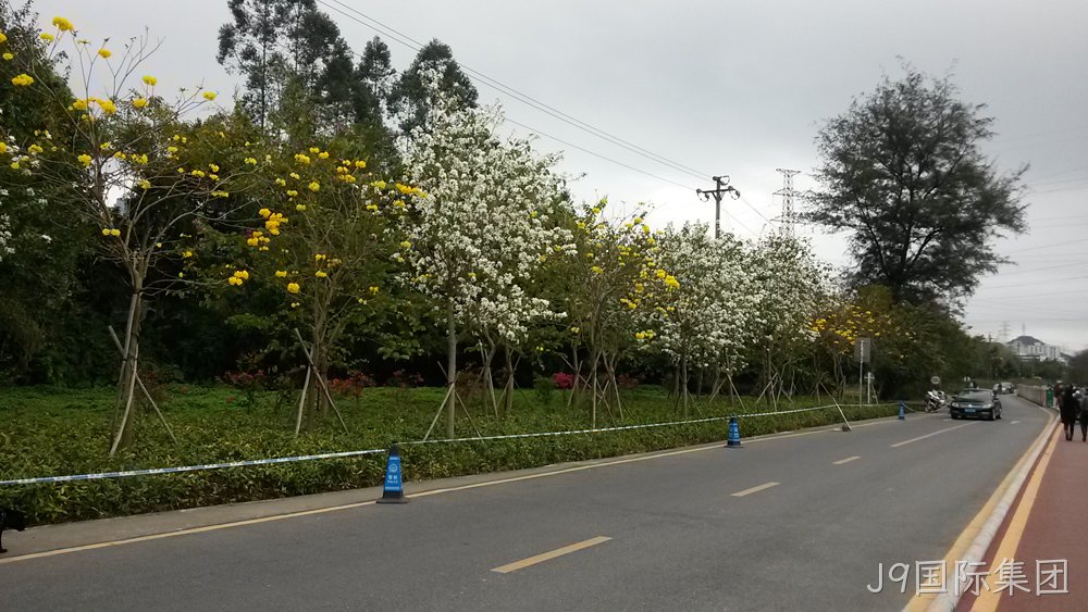 J9国际集团仙湖行